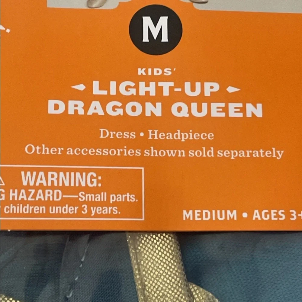 Hyde and Eek! Kids' Light-Up Dragon Queen Costume - Teal/Blue (M)